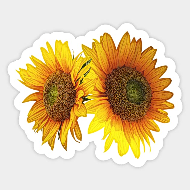 Sunflowers - I've Got Your Back Sticker by SusanSavad